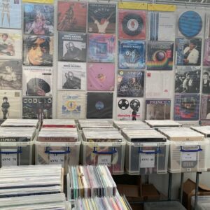 NOVEGRO VINILE EXPO - GIORNALIERO