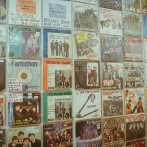 NOVEGRO VINILE EXPO - GIORNALIERO